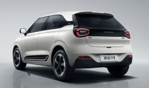 Dongfeng NM 01 2024 Model
