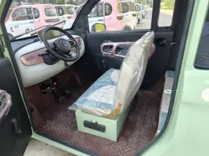 Electric four -wheel car Fully Enclosed  Passenger  Family Use（CJ-Dk02)