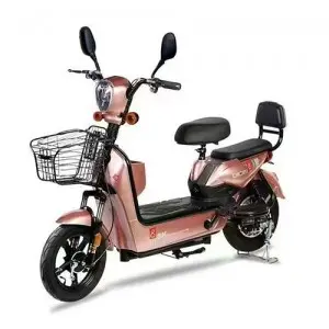 Two-wheeled Electric Bike :Model: Gold Egle