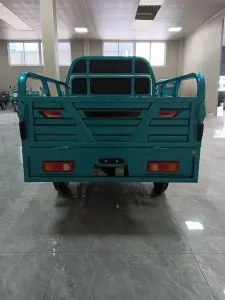 Hot Selling Cargo Electric Tricycle 1.6m Standard (Overbearing Door Invisible Backrest)