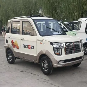 Mini Raptor