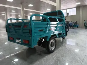 Hot Selling Cargo Electric Tricycle 1.6m Standard (Overbearing Door Invisible Backrest)