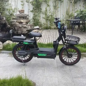 Two-wheeled Electric Bike :Model: Big Cattle
