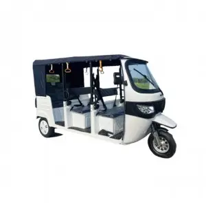 Electric  Passenger Tricycle 9 Seater Tuk Tuk 3 Wheel Motorcycle (S3 – Iron Frame)
