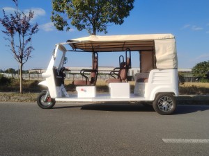 New Model 3 Wheels Electric Passenger Tricycles Three Wheel for Adult(Audi Face Tricycle(6-seater)