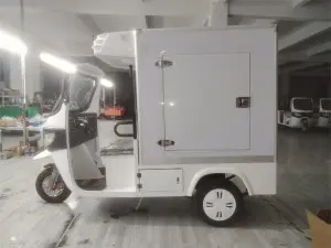 Electric Tricyle Car Freezer Box for Cold Chain Delivery