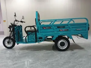 Hot Selling Cargo Electric Tricycle 1.6m Standard (Overbearing Door Invisible Backrest)