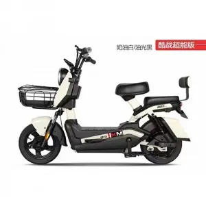 Two-wheeled Electric Bike :Model: Cool Battle